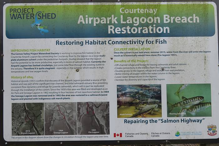 habitat restoration signs courtenay river comox bc